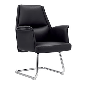 Ƥ���ǰ�ι��Ε��h��CH-229C