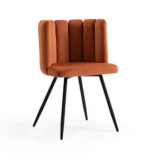 �������e��ǢՄ��CH-VC12