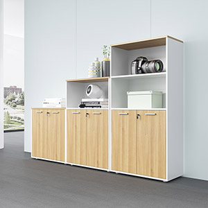 �F(xi��n)����(ji��n)�s����M���ļ���FC-ZH03